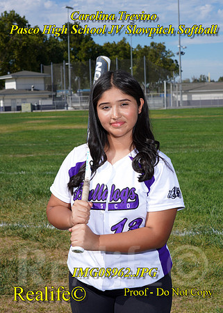 8627(1)