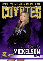LynleyMickelson