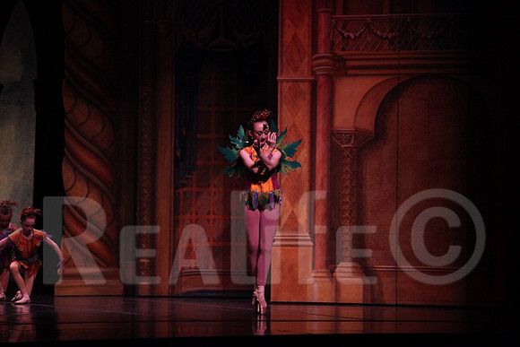 Palace_4071