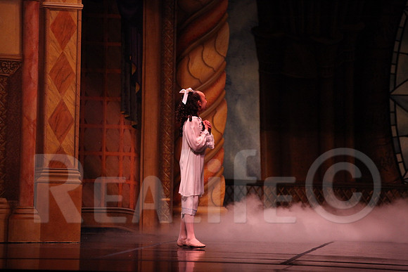 Palace_4644