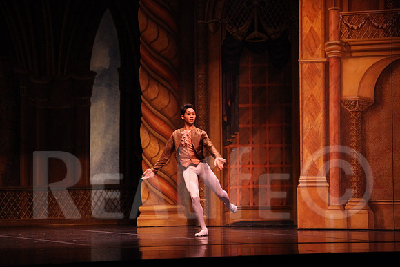 Palace_4454