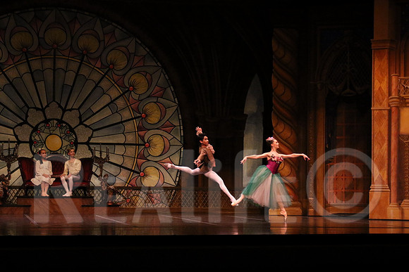 Palace_4977