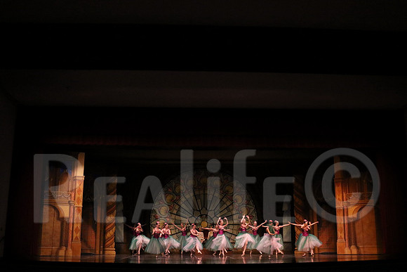 Palace_5033