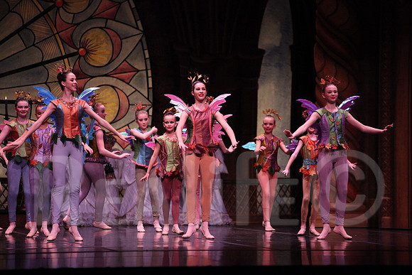 Palace_4097