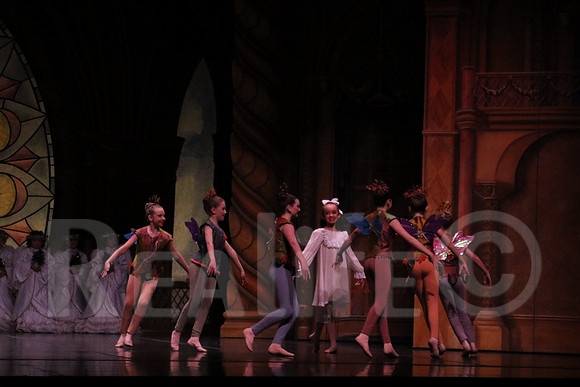 Palace_4730