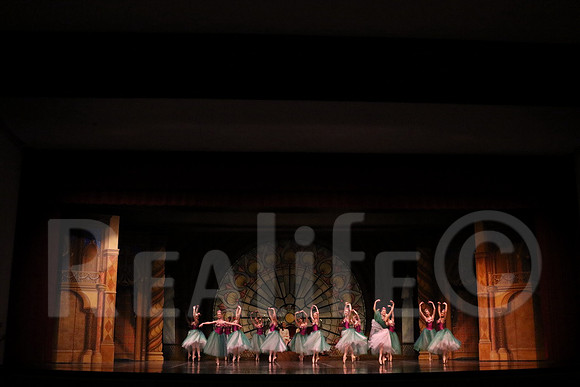 Palace_5031