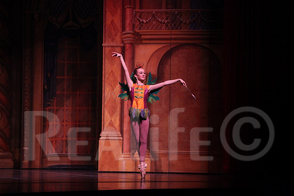 Palace_4072