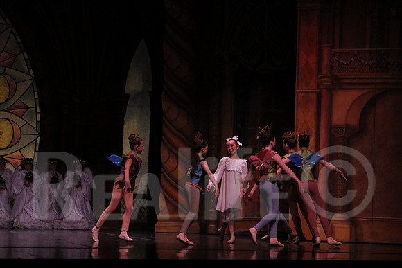 Palace_4731