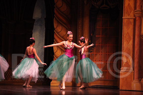 Palace_4473