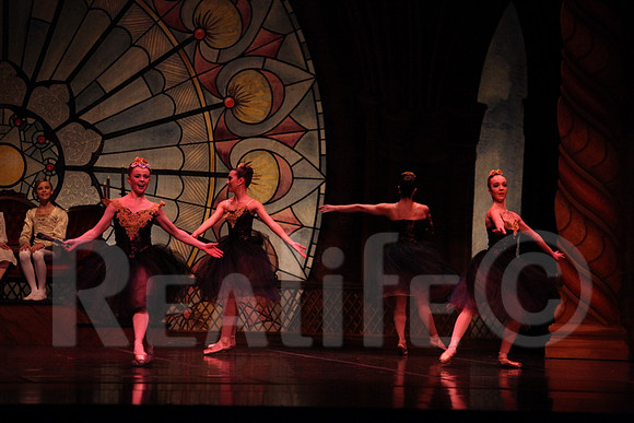Palace_4148