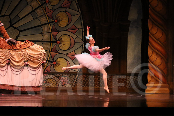 Palace_4839