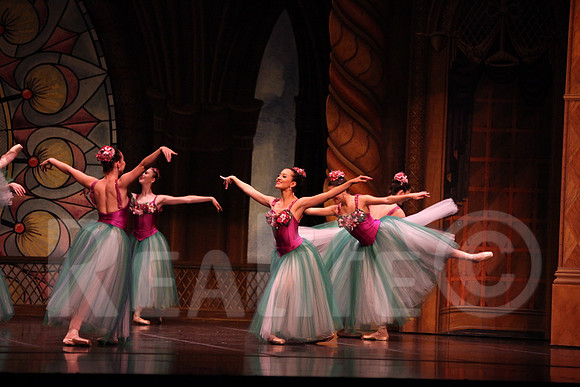 Palace_4435