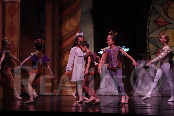 Palace_4048