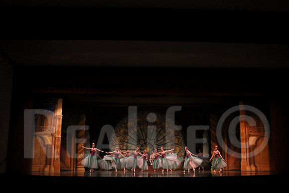 Palace_5014