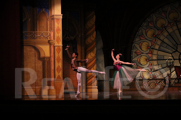 Palace_4985