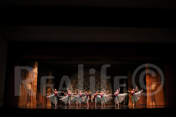 Palace_5012