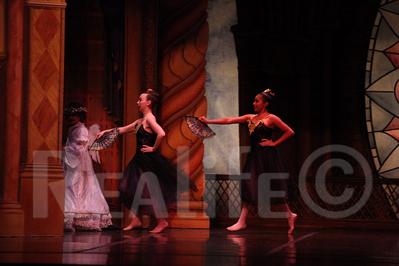 Palace_4130