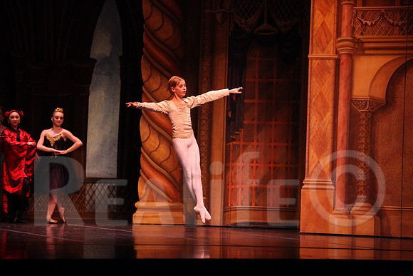 Palace_4586