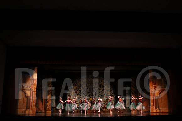 Palace_5029
