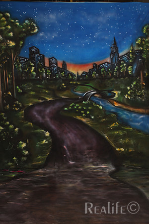 11 Central Park Night 2