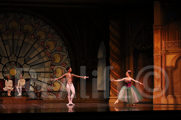 Palace_4979