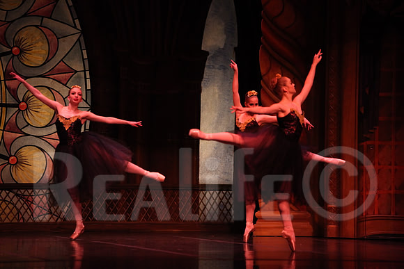 Palace_4159