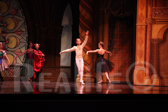 Palace_4577