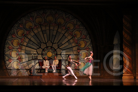 Palace_4975