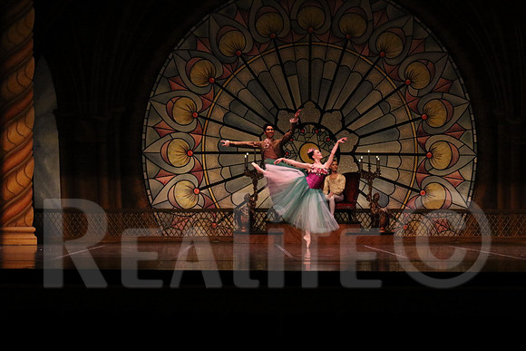 Palace_4972