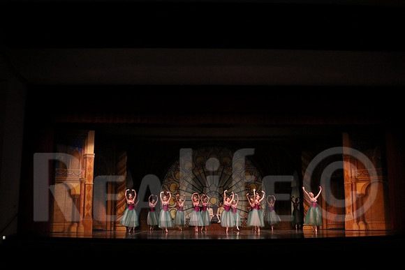 Palace_5016