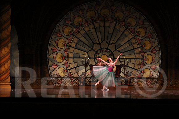 Palace_4973