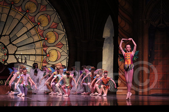 Palace_4772