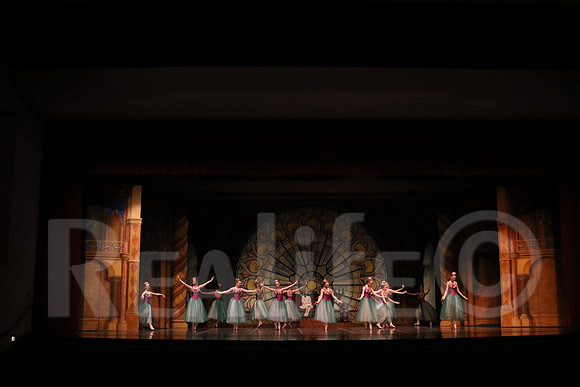 Palace_5019