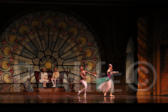 Palace_4976
