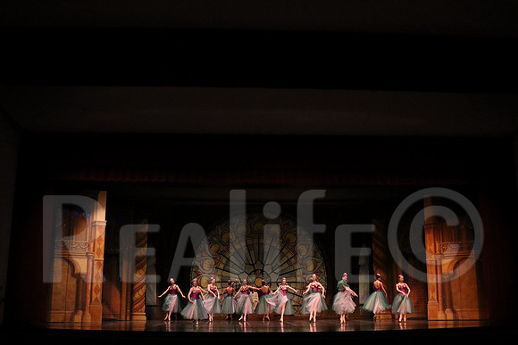 Palace_5028