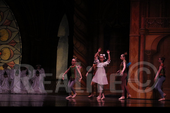 Palace_4726