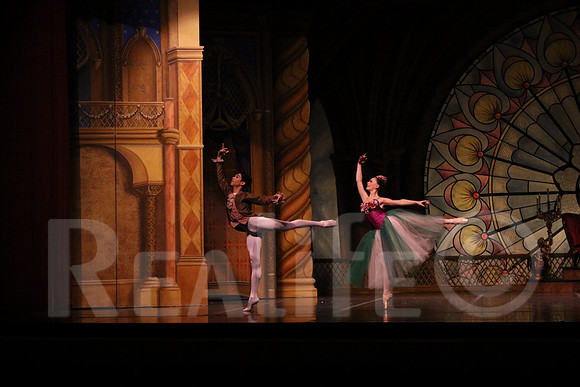 Palace_4986