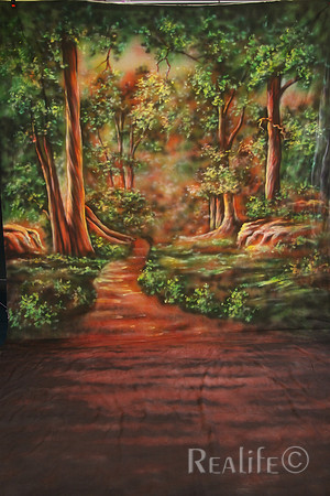 3 Rain Forest