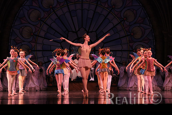 Pal1_7099
