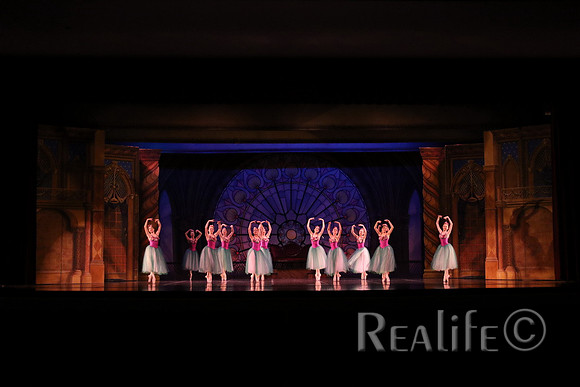 Pal2_8701
