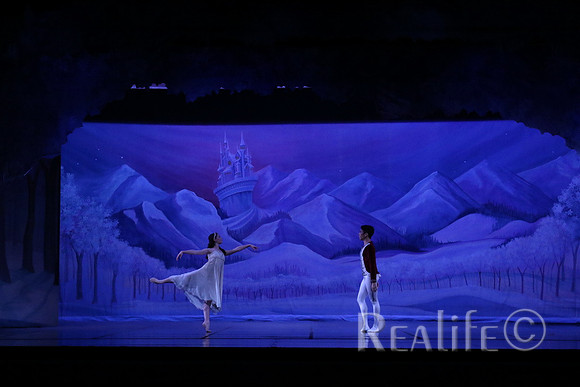 Sno2_4010