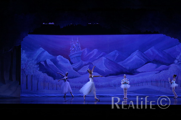 Sno2_4013