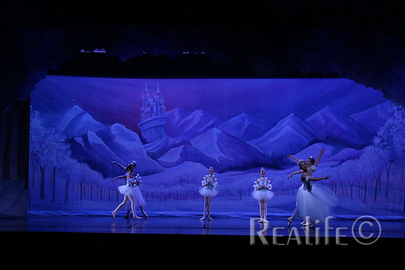 Sno2_4014