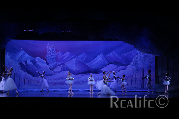 Sno2_4015