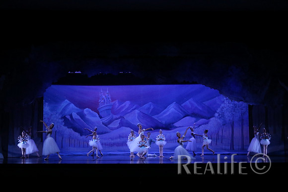 Sno2_4016