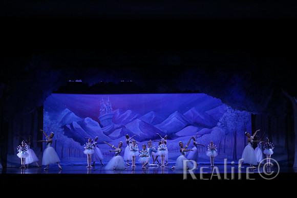 Sno2_4017