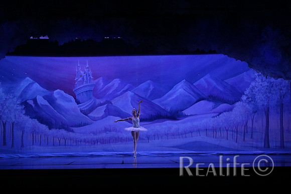 Sno2_4021
