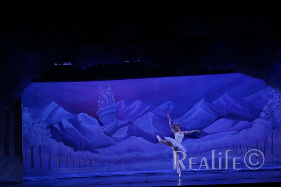 Sno2_4028