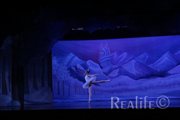 Sno2_4029