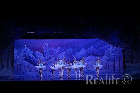 Sno2_4033